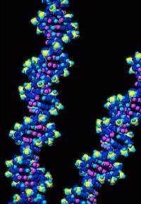 Molcula de DNA